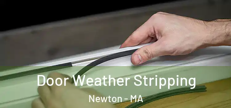  Door Weather Stripping Newton - MA