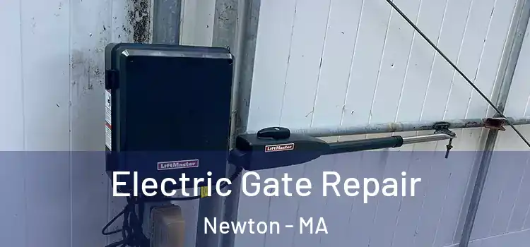  Electric Gate Repair Newton - MA