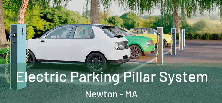  Electric Parking Pillar System Newton - MA